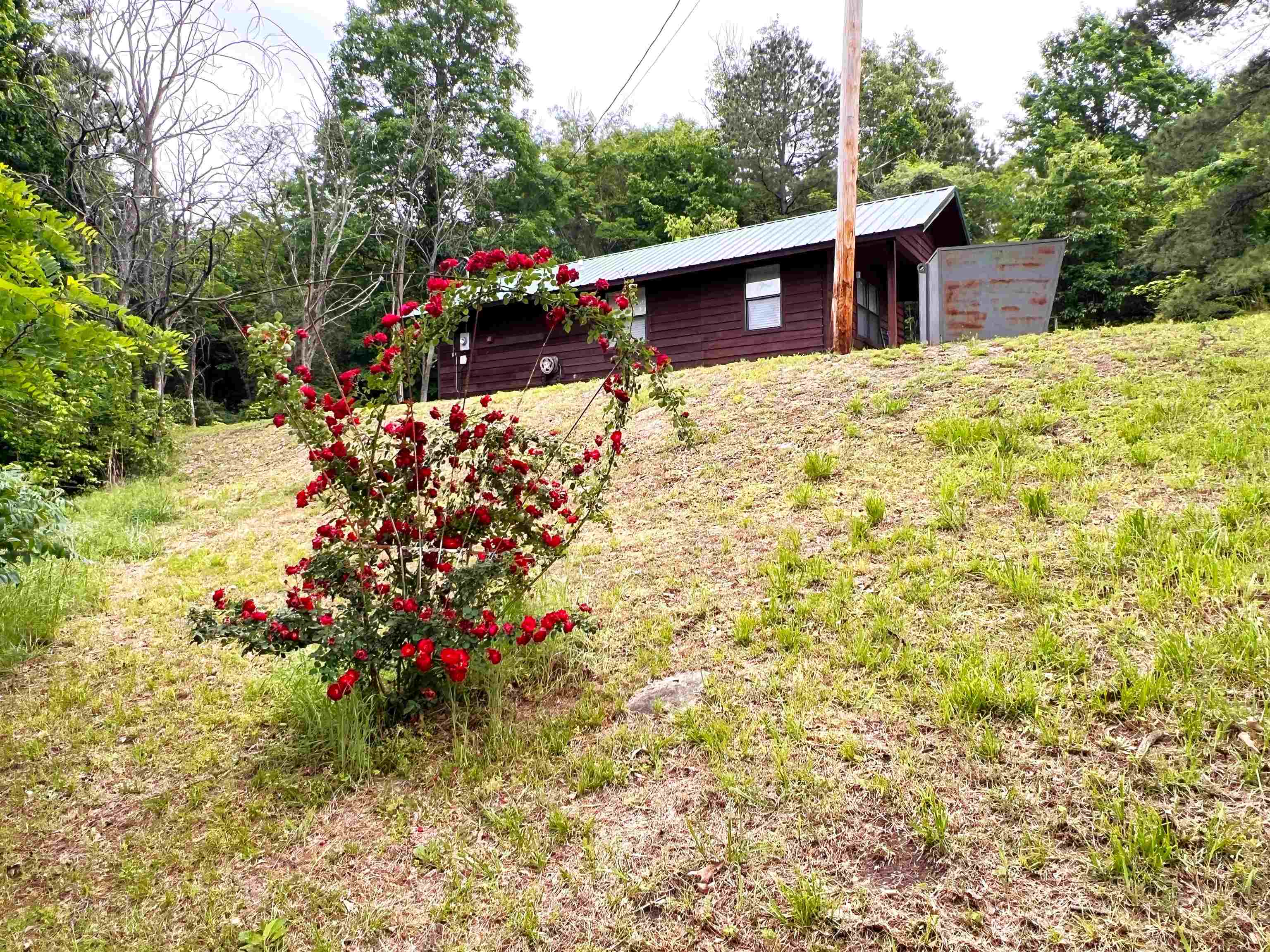 Photo 40 - Commercial / Industrial for sale – 75  Ruddells  Yes Mountain View, AR