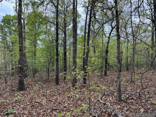 Vacant Land for sale – TBD  Wirth Rd   Mammoth Spring, AR
