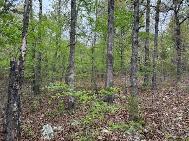 Photo 11 - Vacant Land for sale – TBD  Wirth Rd   Mammoth Spring, AR