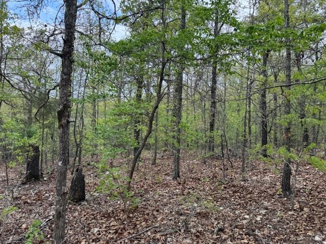 Photo 12 - Vacant Land for sale – TBD  Wirth Rd   Mammoth Spring, AR