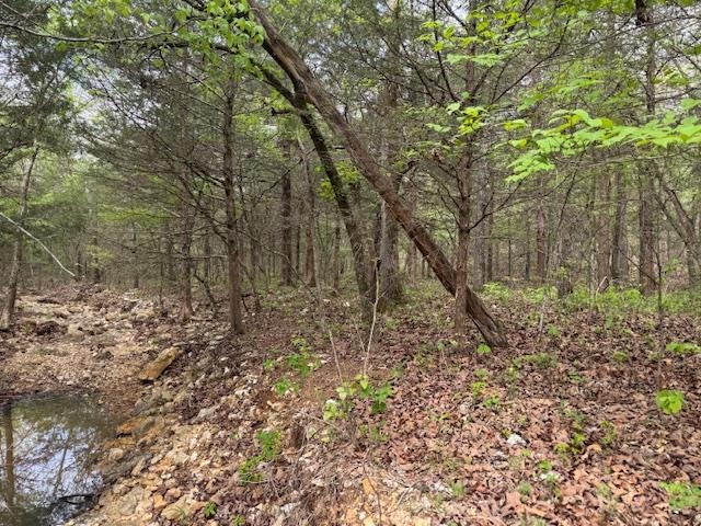 Photo 13 - Vacant Land for sale – TBD  Wirth Rd   Mammoth Spring, AR