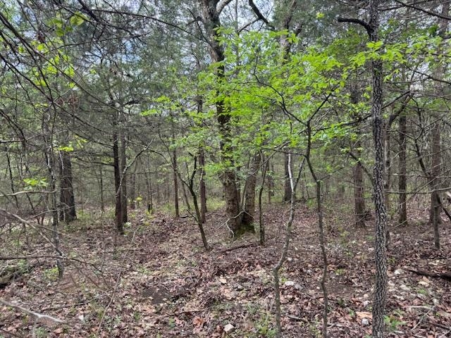 Photo 14 - Vacant Land for sale – TBD  Wirth Rd   Mammoth Spring, AR