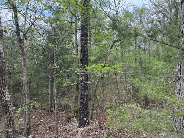 Photo 15 - Vacant Land for sale – TBD  Wirth Rd   Mammoth Spring, AR