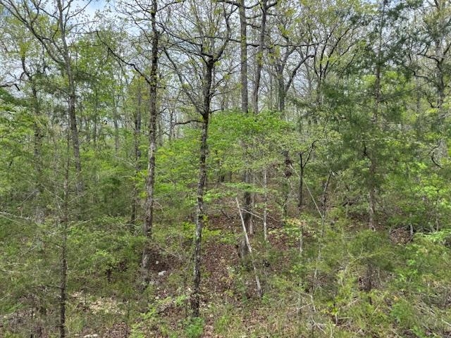 Photo 16 - Vacant Land for sale – TBD  Wirth Rd   Mammoth Spring, AR