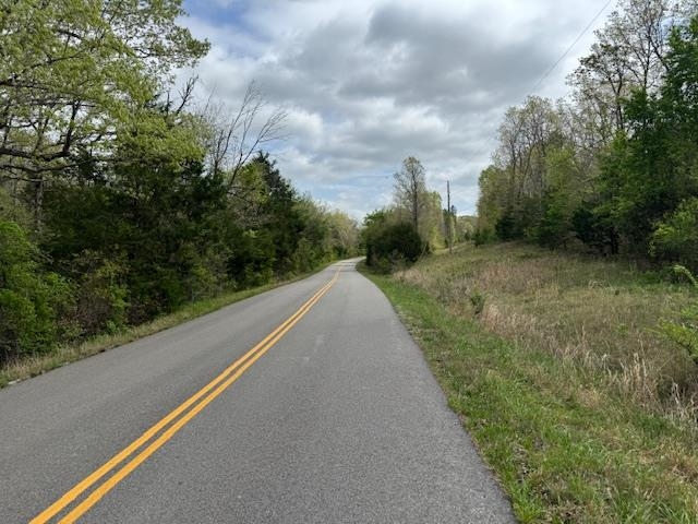 Photo 17 - Vacant Land for sale – TBD  Wirth Rd   Mammoth Spring, AR