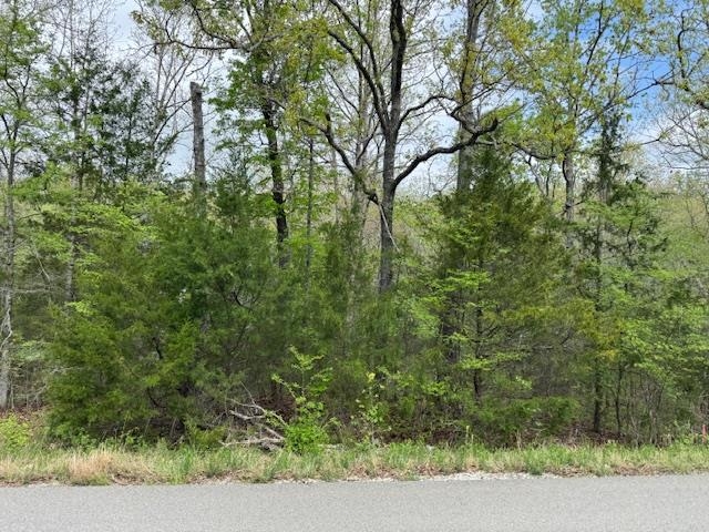 Photo 18 - Vacant Land for sale – TBD  Wirth Rd   Mammoth Spring, AR