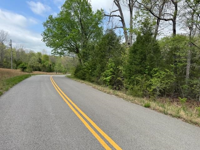 Photo 3 - Vacant Land for sale – TBD  Wirth Rd   Mammoth Spring, AR