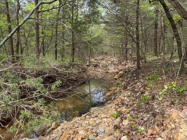 Photo 4 - Vacant Land for sale – TBD  Wirth Rd   Mammoth Spring, AR