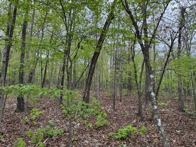 Photo 5 - Vacant Land for sale – TBD  Wirth Rd   Mammoth Spring, AR