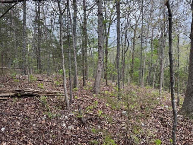 Photo 6 - Vacant Land for sale – TBD  Wirth Rd   Mammoth Spring, AR