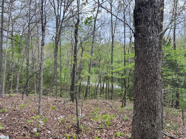 Photo 7 - Vacant Land for sale – TBD  Wirth Rd   Mammoth Spring, AR