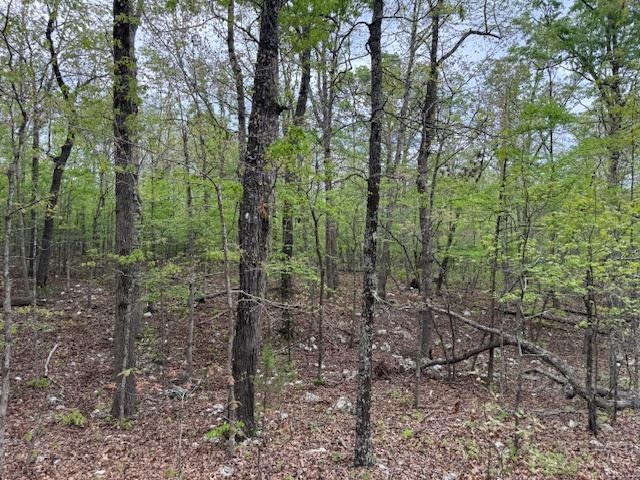 Photo 8 - Vacant Land for sale – TBD  Wirth Rd   Mammoth Spring, AR