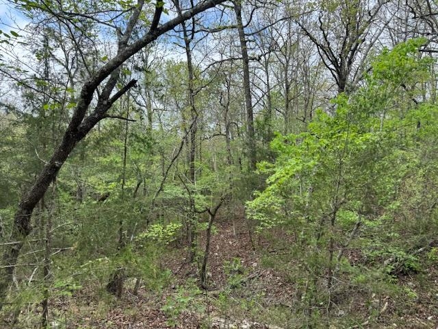 Photo 9 - Vacant Land for sale – TBD  Wirth Rd   Mammoth Spring, AR