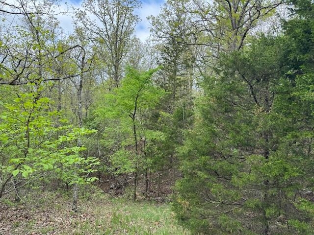 Photo 10 - Vacant Land for sale – TBD  Wirth Rd   Mammoth Spring, AR