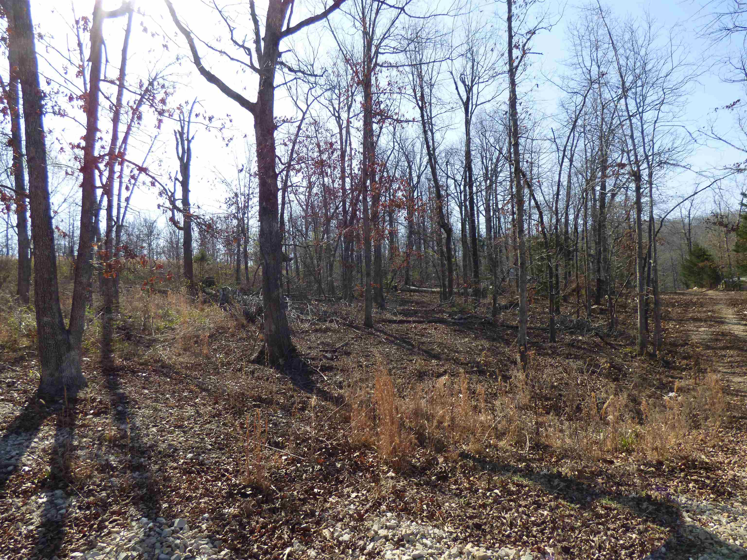 Photo 2 - Vacant Land for sale – 42  Chisolm   Williford, AR