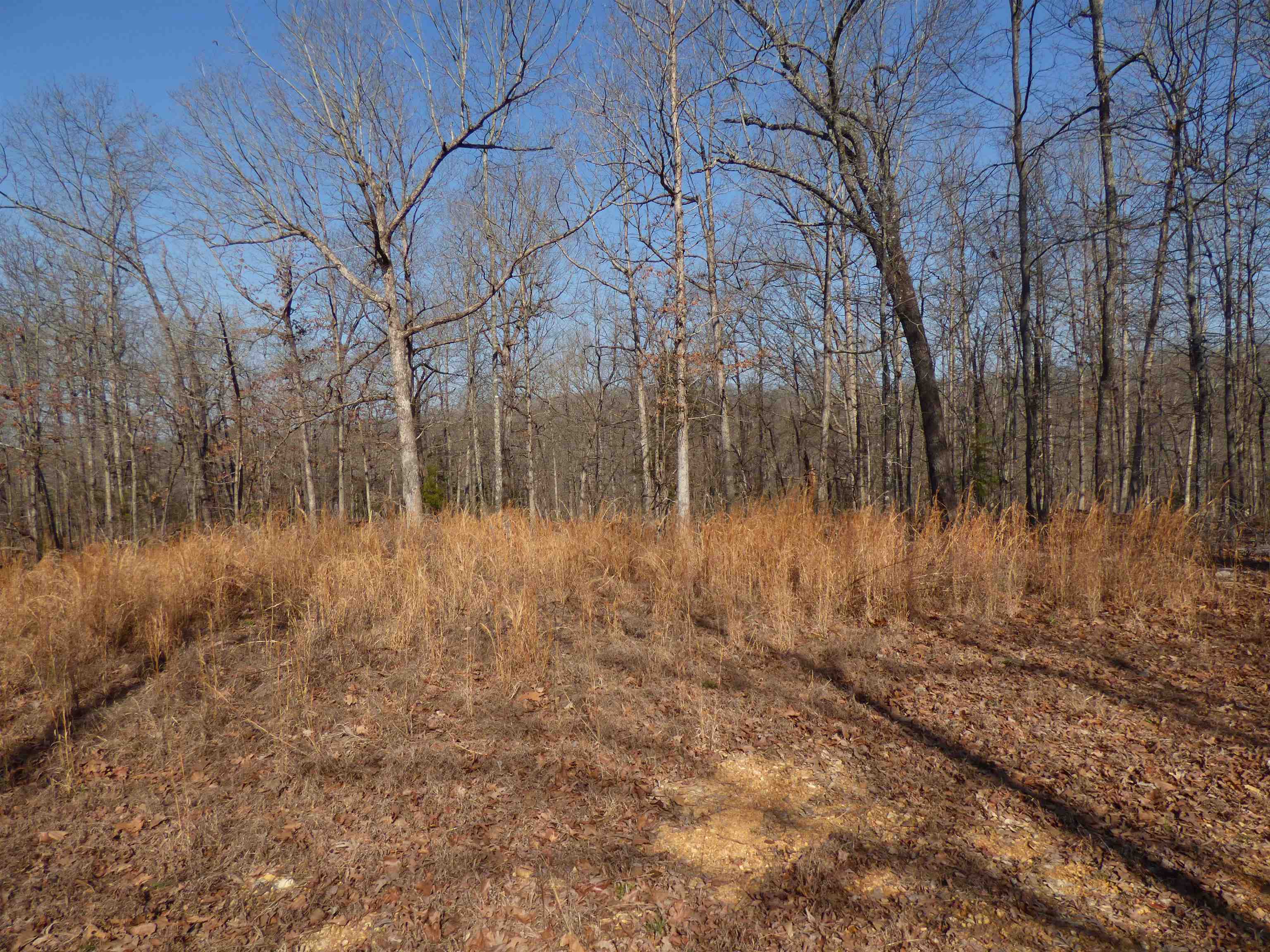 Photo 6 - Vacant Land for sale – 42  Chisolm   Williford, AR