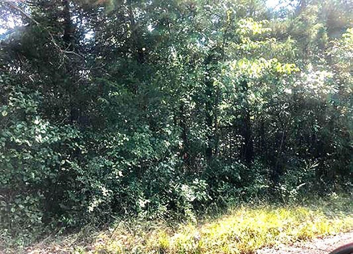 Vacant Land for sale – TBD  Enid   Cherokee Village, AR