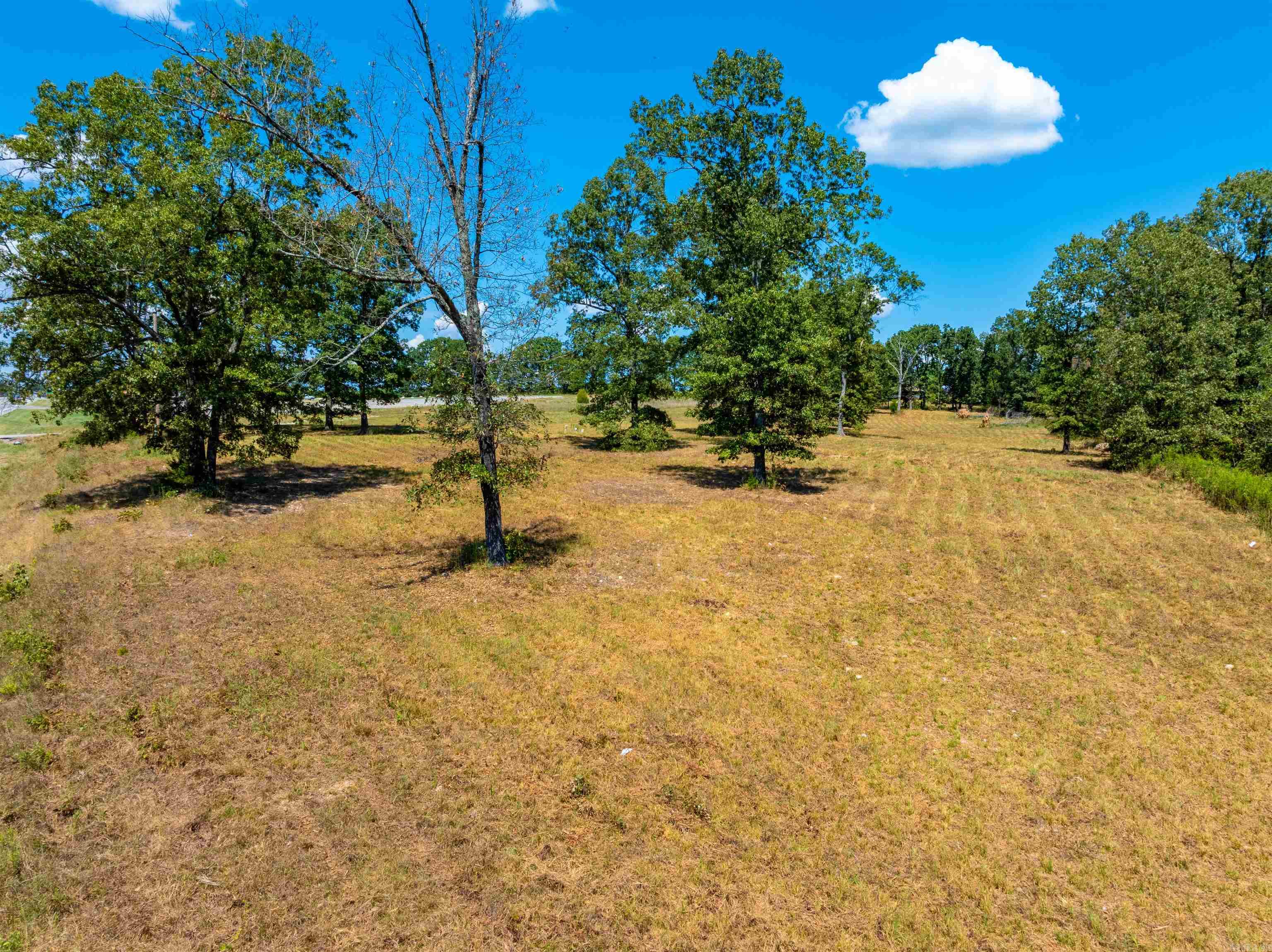 Photo 3 - Vacant Land for sale – 0  Hwy 62E/412   Glencoe, AR