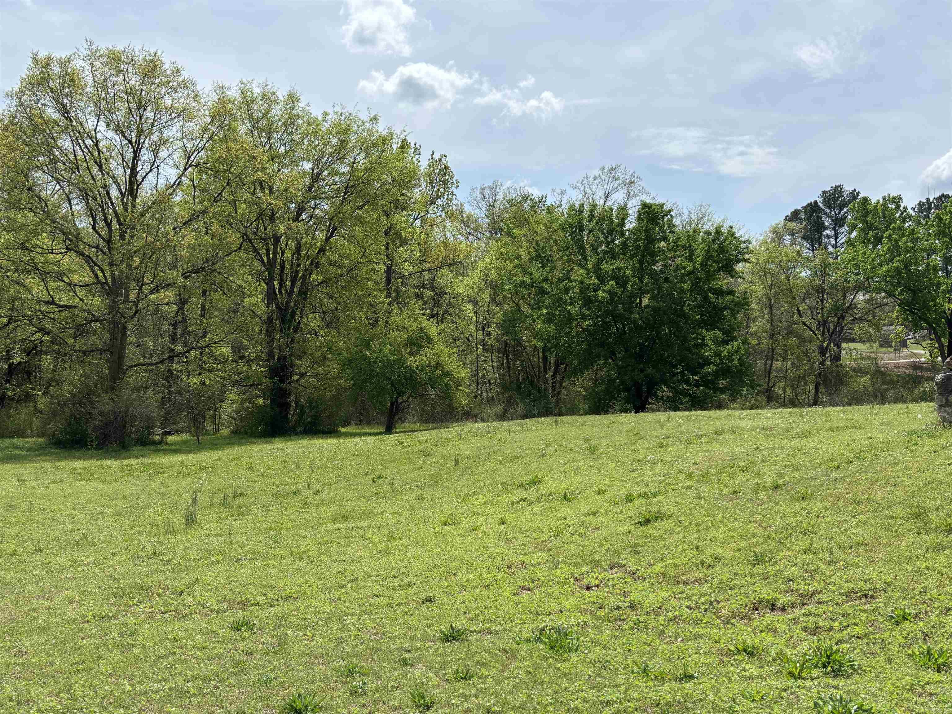 Photo 19 - Residential for sale – 429 W Ferguson   Williford, AR