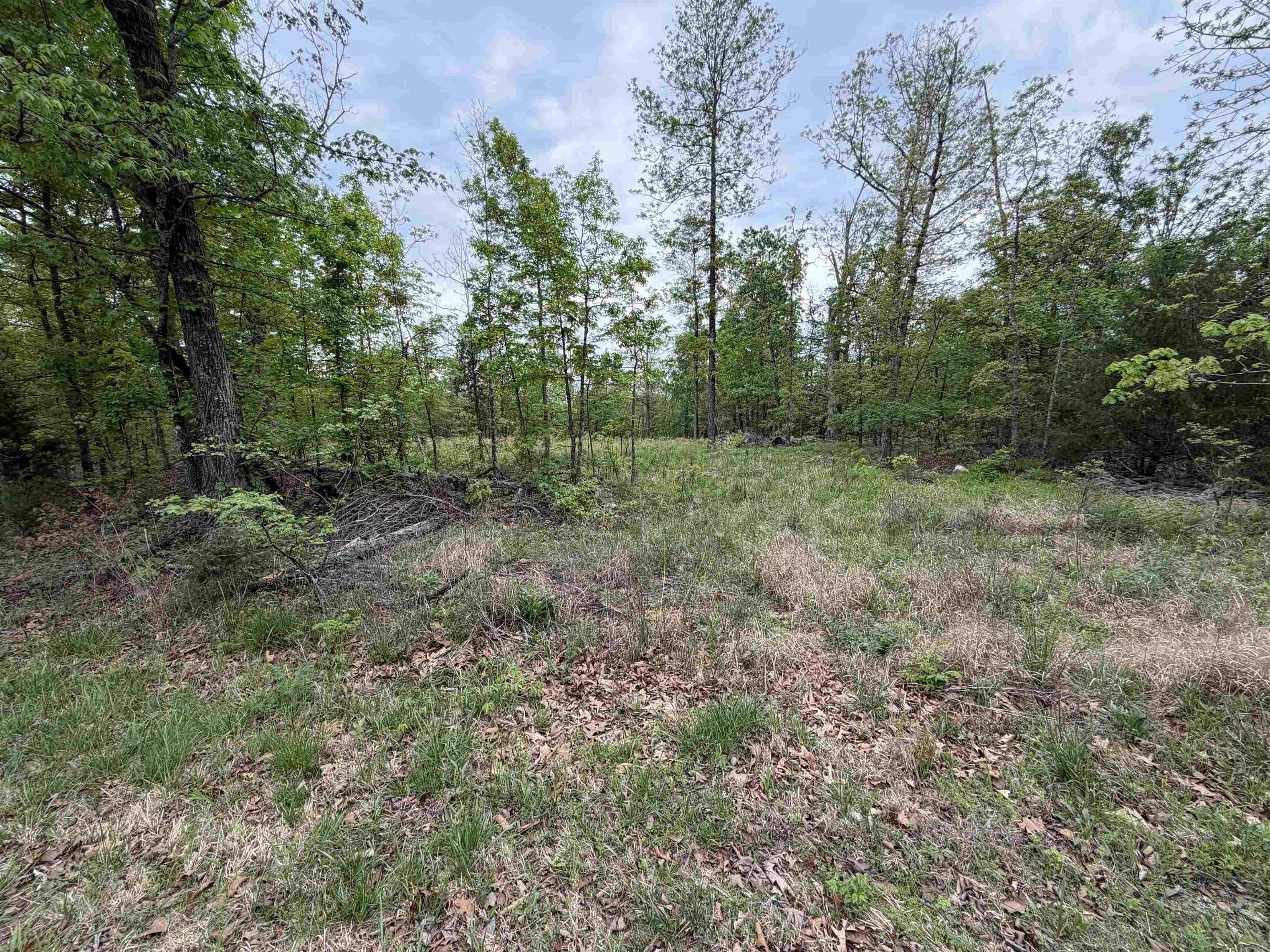 Photo 2 - Vacant Land for sale – 303  Mother Lode   Horseshoe Bend, AR