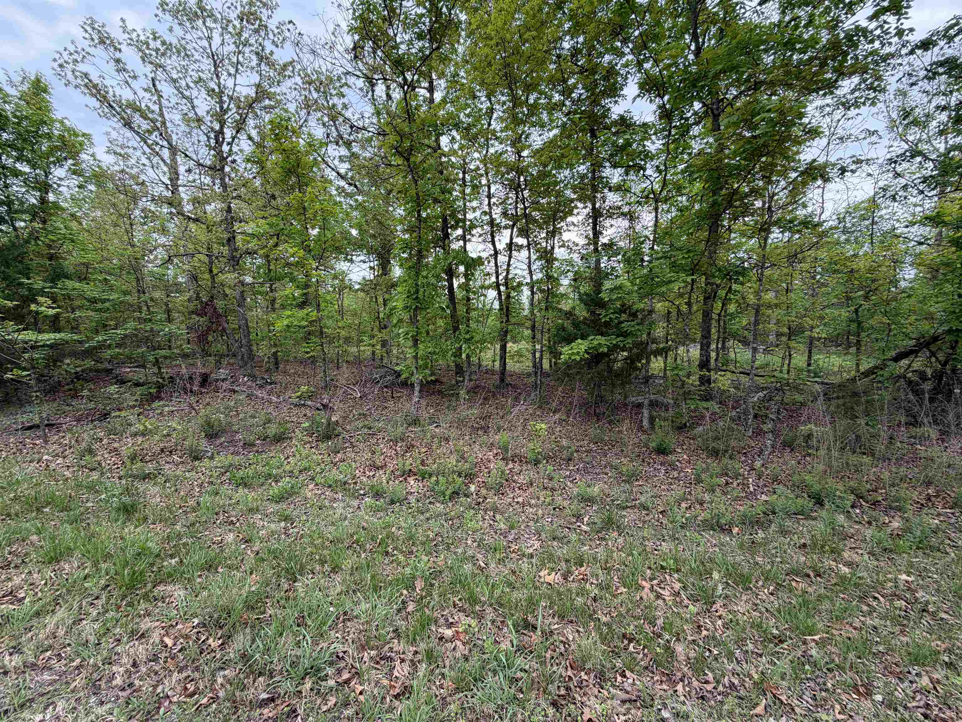 Photo 3 - Vacant Land for sale – 303  Mother Lode   Horseshoe Bend, AR