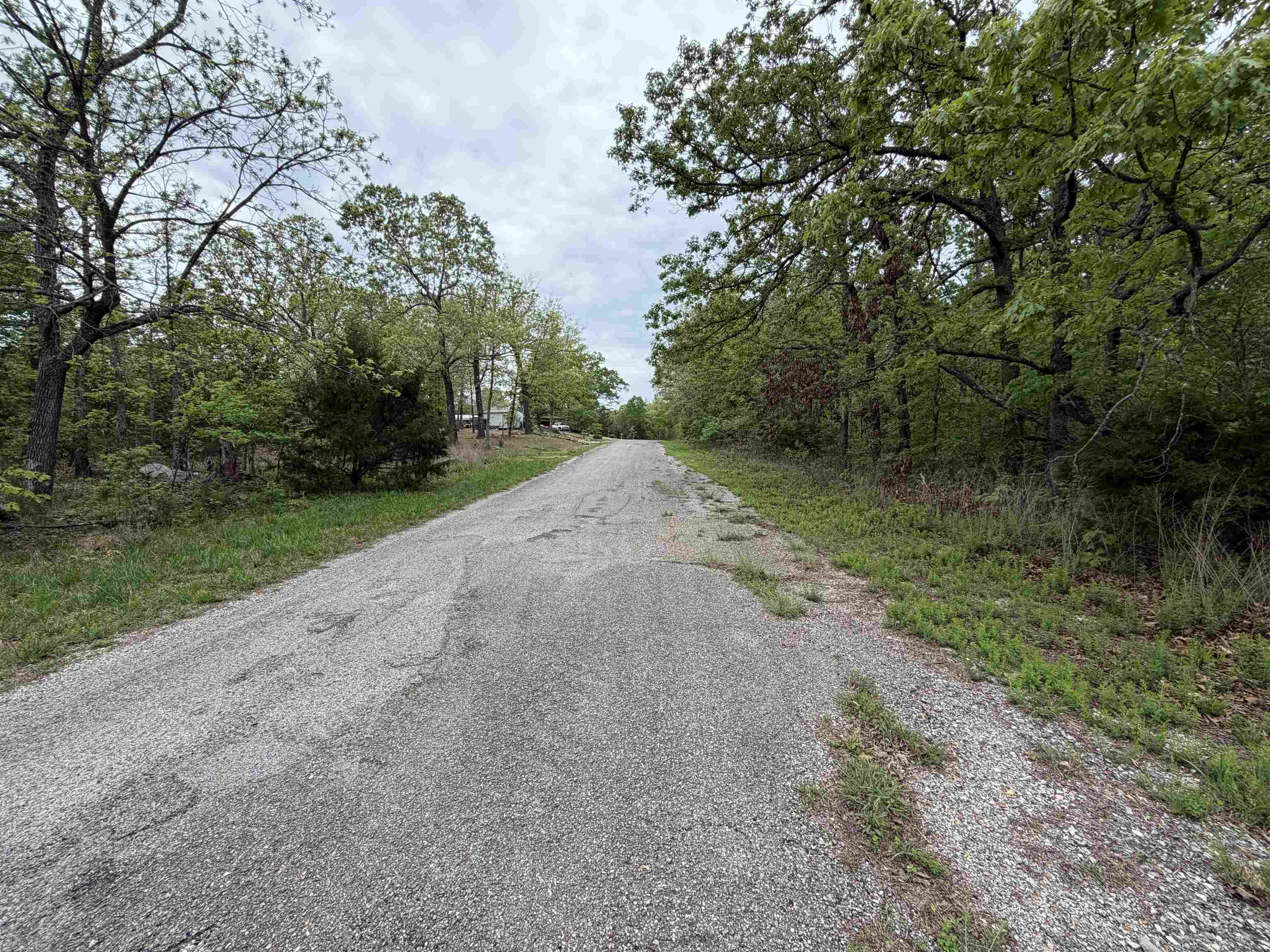 Photo 4 - Vacant Land for sale – 303  Mother Lode   Horseshoe Bend, AR