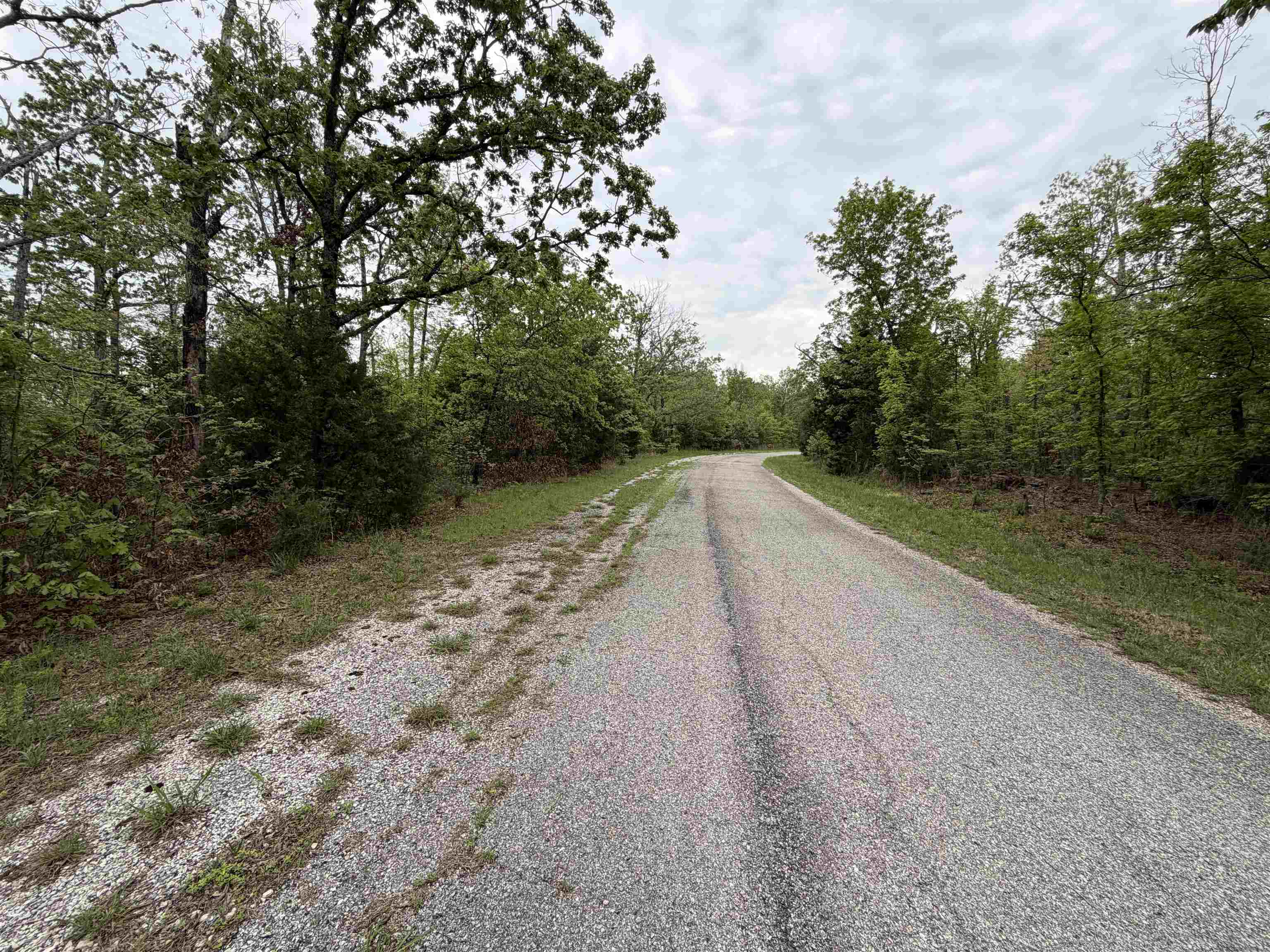 Photo 5 - Vacant Land for sale – 303  Mother Lode   Horseshoe Bend, AR