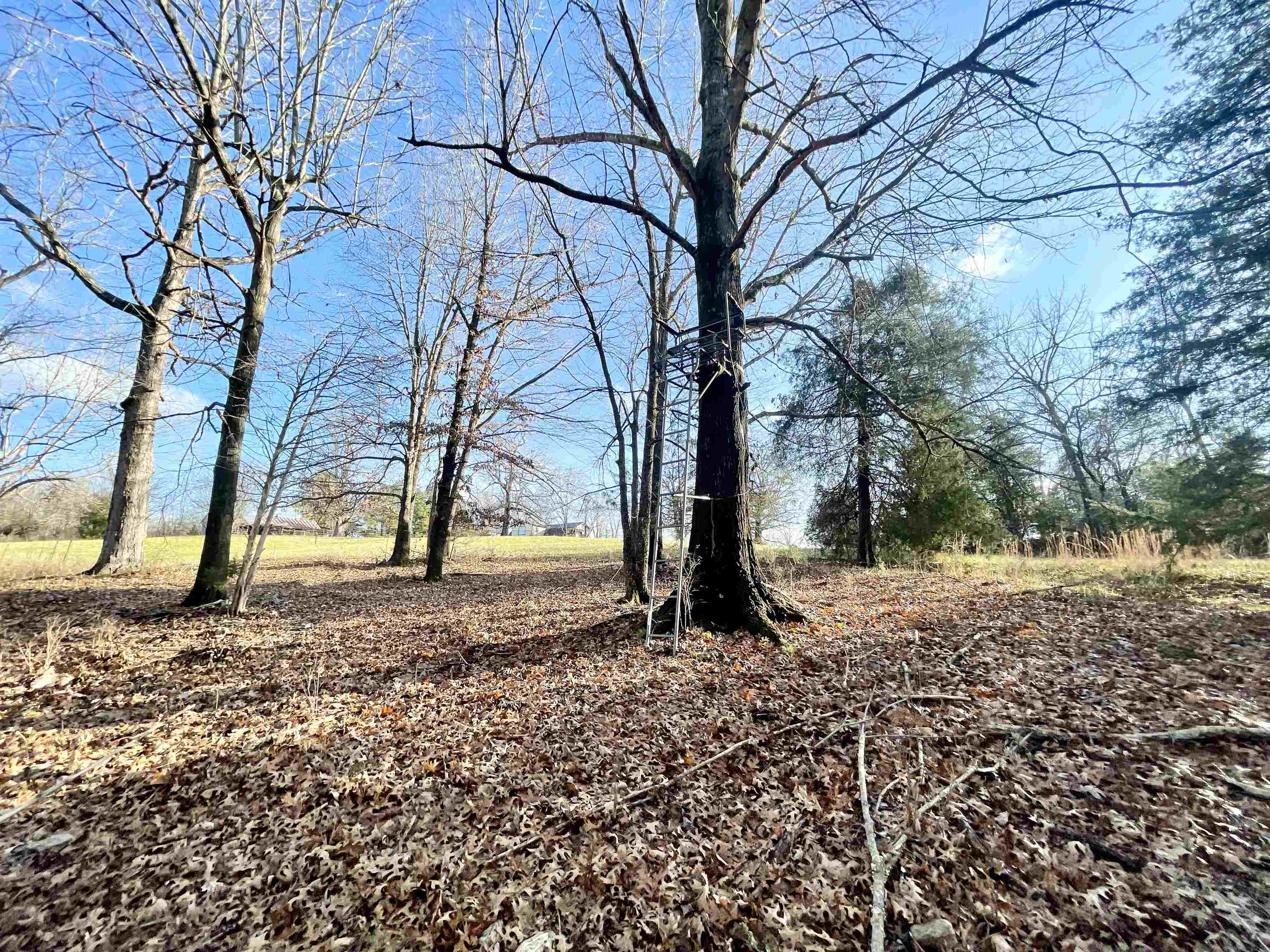 Photo 14 - Residential for sale – 1494  9   Salem, AR