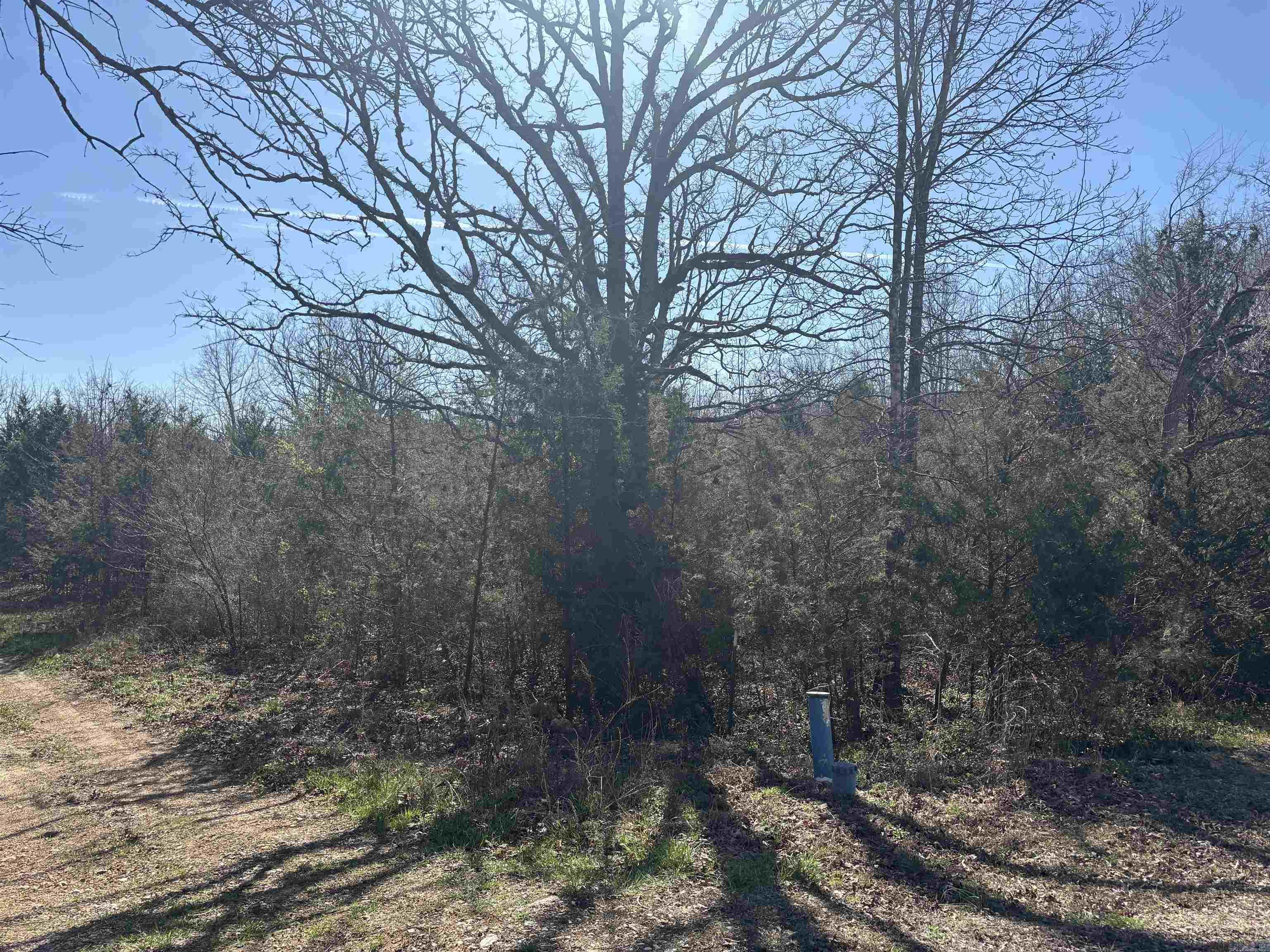 Photo 12 - Vacant Land for sale – 0  Little Creek   Ash Flat, AR