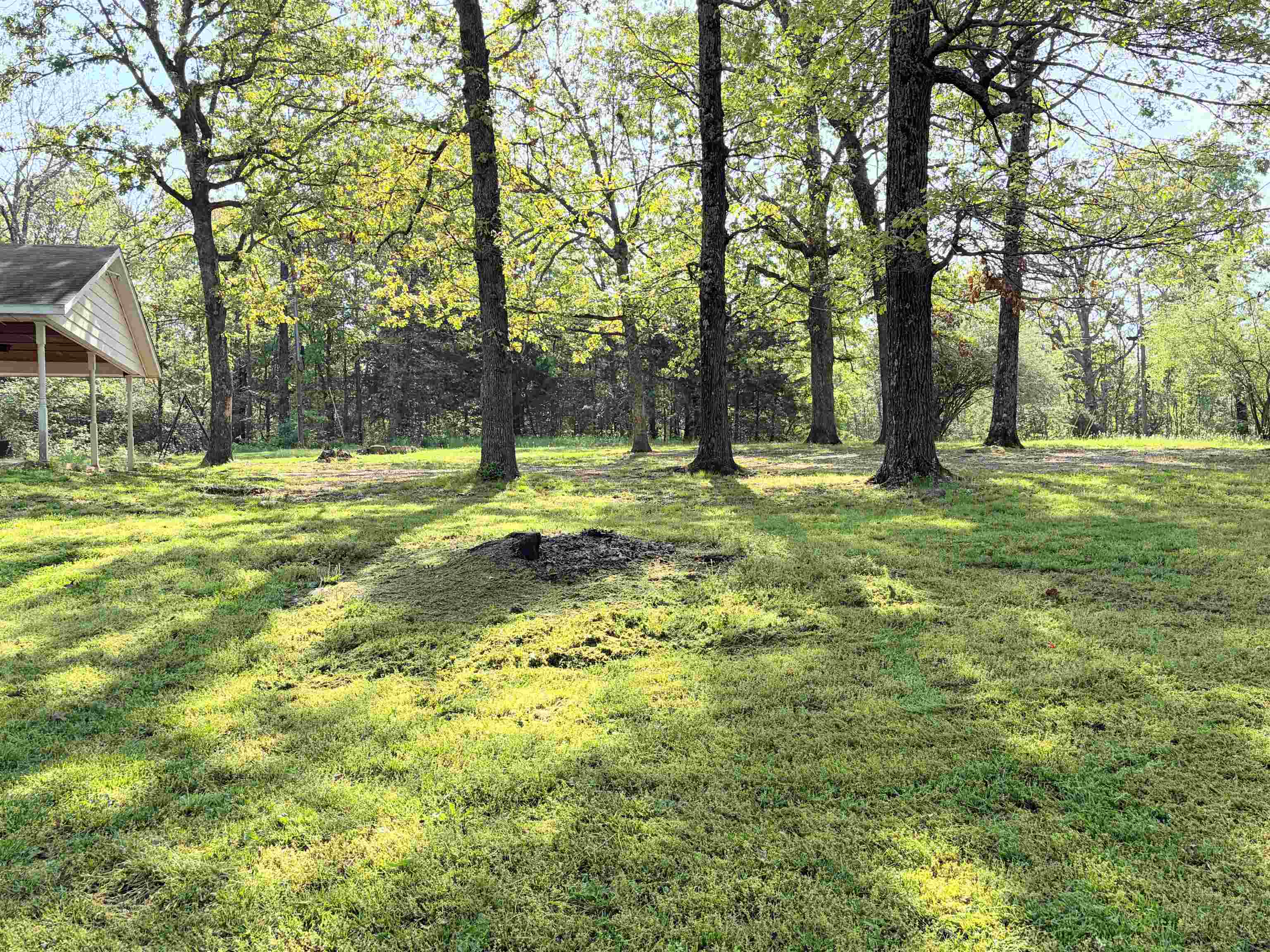 Photo 4 - Residential for sale – 1302  Orchard   Horseshoe Bend, AR