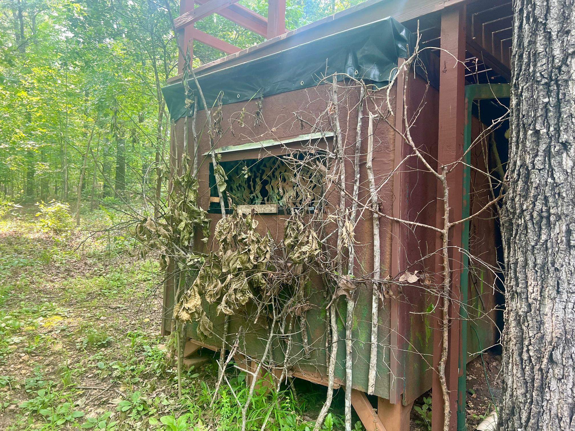 Photo 24 - Residential for sale – 8601  Nine Mile Ridge   Hardy, AR