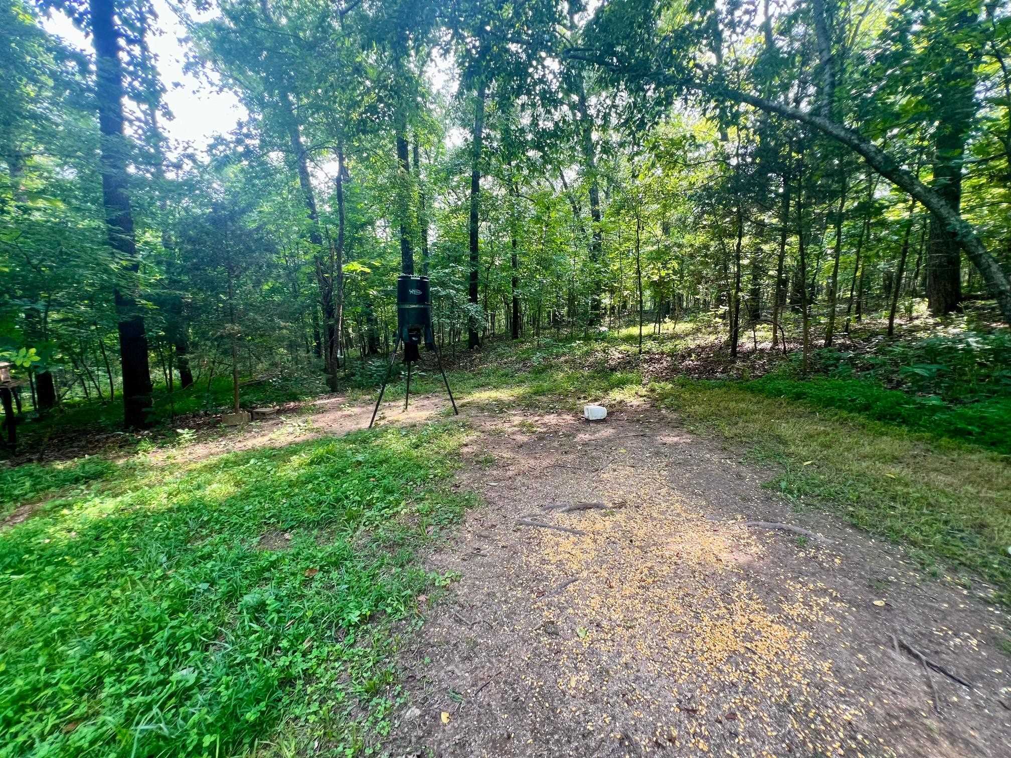 Photo 30 - Residential for sale – 8601  Nine Mile Ridge   Hardy, AR