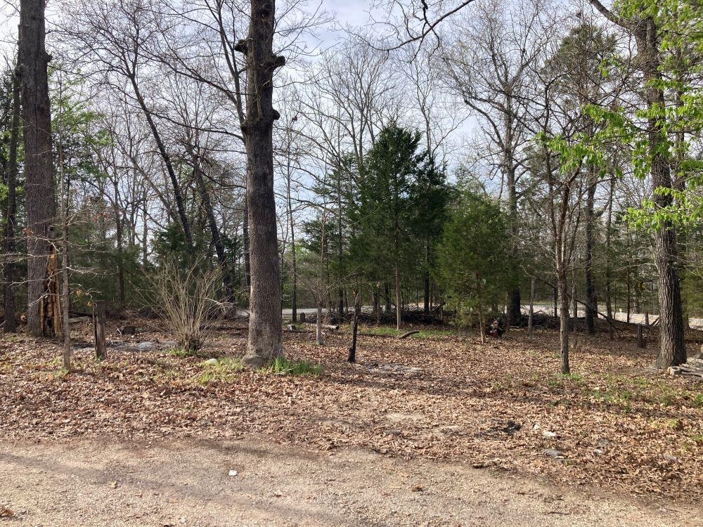 Photo 18 - Residential for sale – 232  Cherokee   Cherokee Village, AR