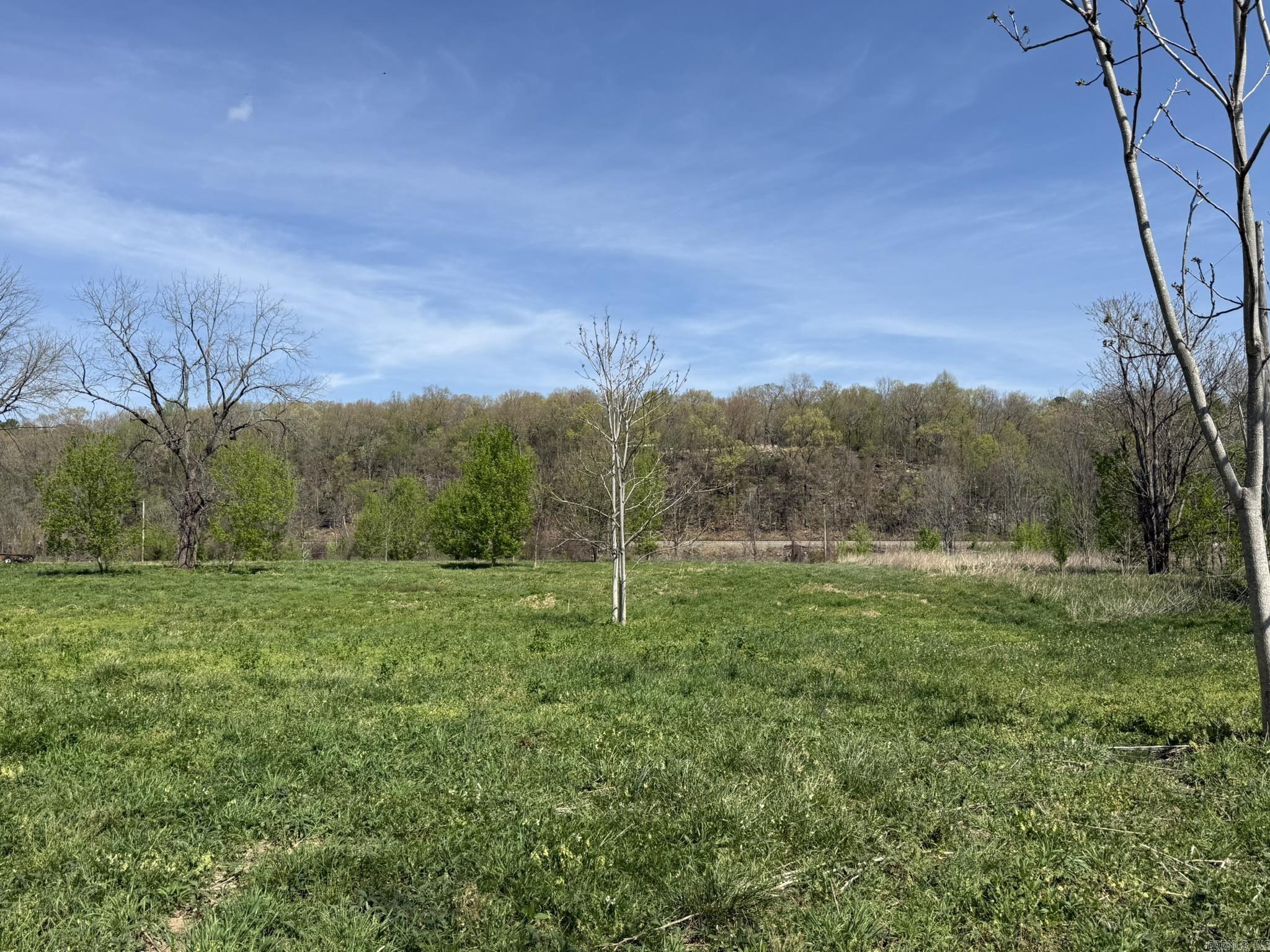 Photo 10 - Vacant Land for sale – 000  Kate   Batesville, AR