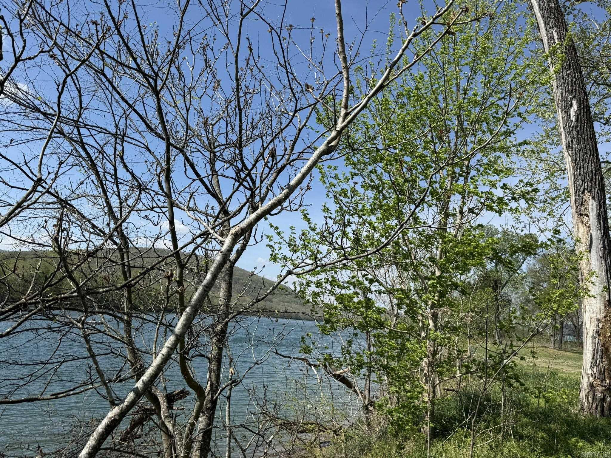 Photo 14 - Vacant Land for sale – 000  Kate   Batesville, AR