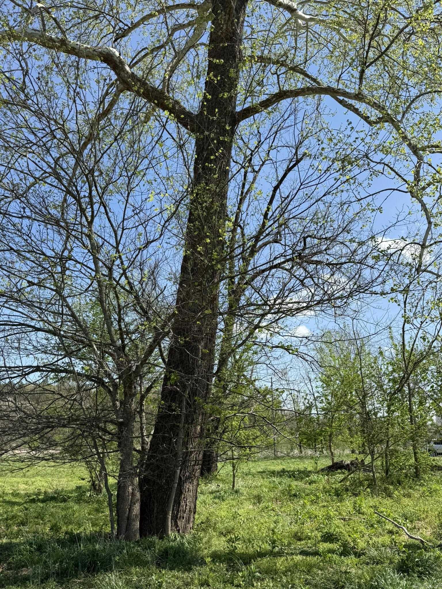 Photo 16 - Vacant Land for sale – 000  Kate   Batesville, AR