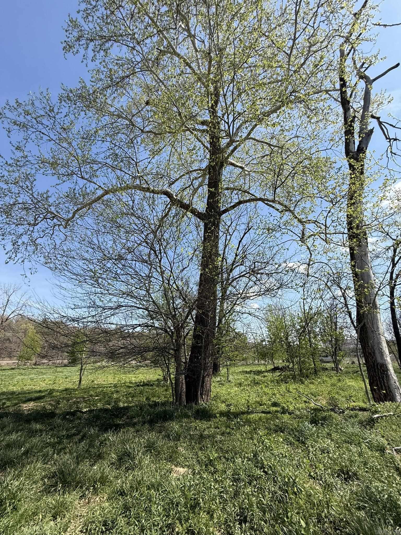 Photo 17 - Vacant Land for sale – 000  Kate   Batesville, AR