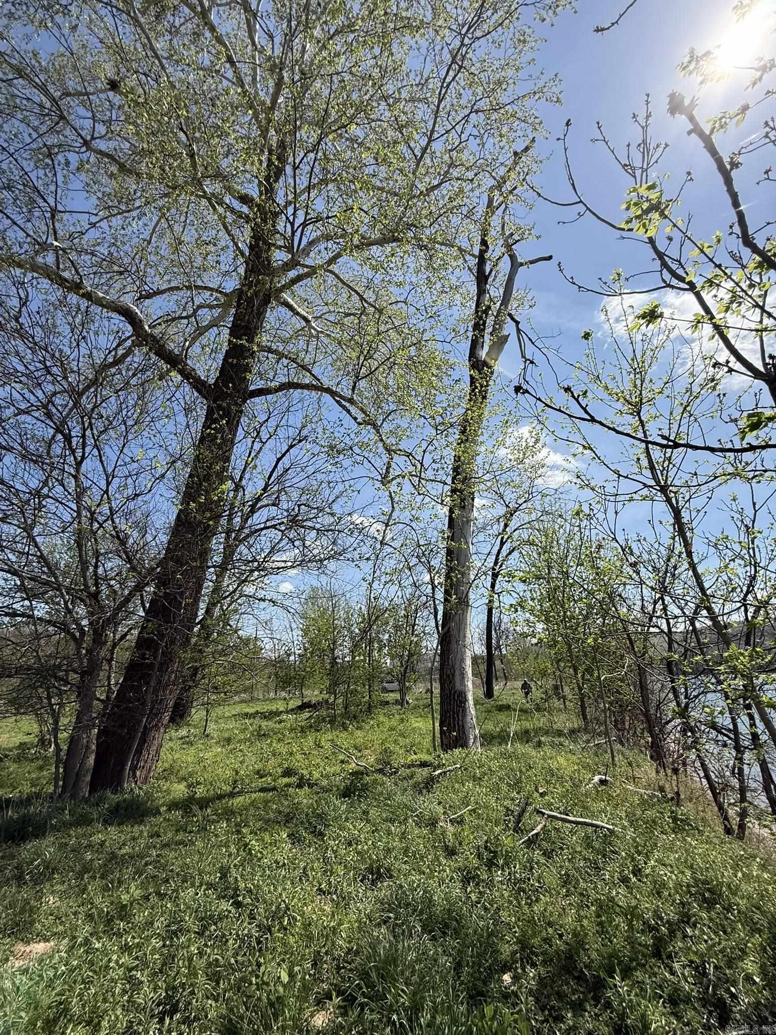 Photo 18 - Vacant Land for sale – 000  Kate   Batesville, AR