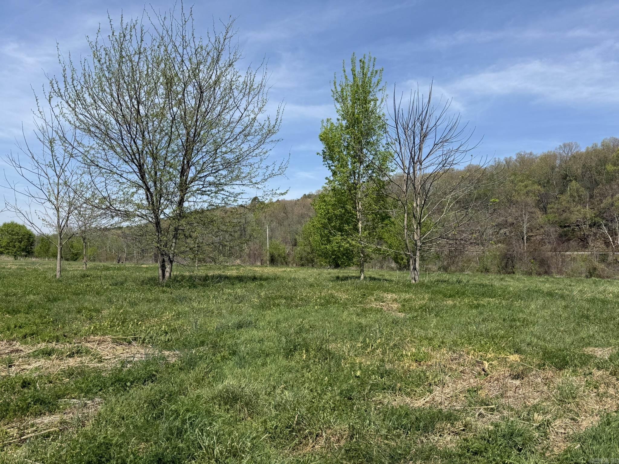 Photo 28 - Vacant Land for sale – 000  Kate   Batesville, AR