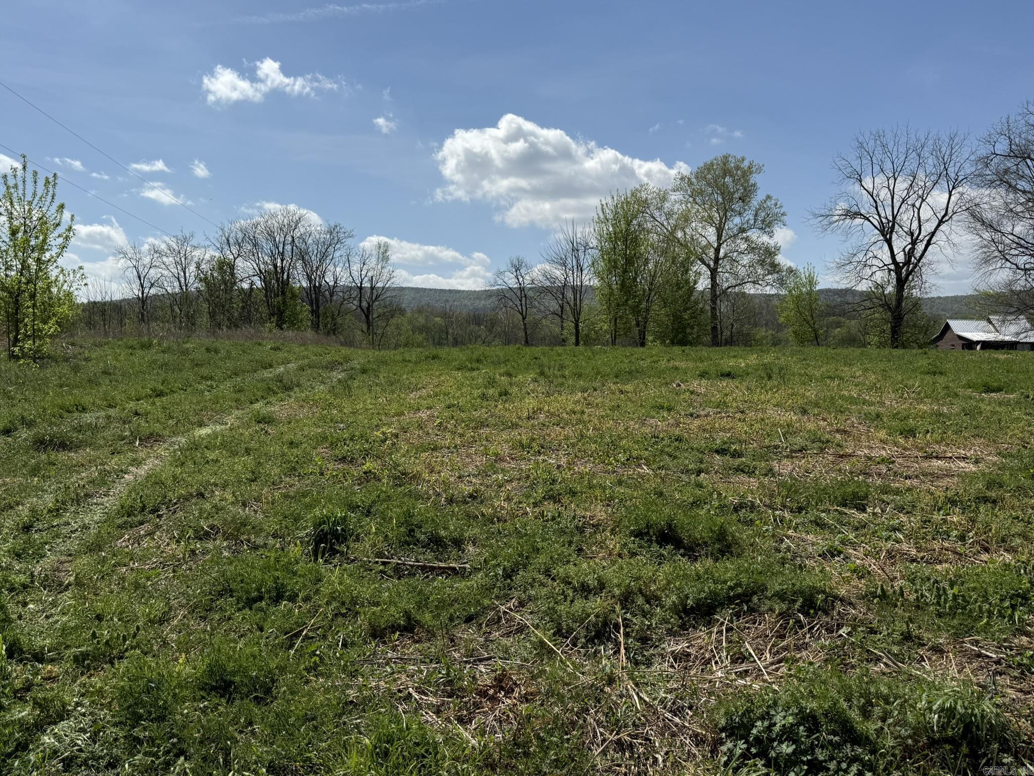 Photo 31 - Vacant Land for sale – 000  Kate   Batesville, AR