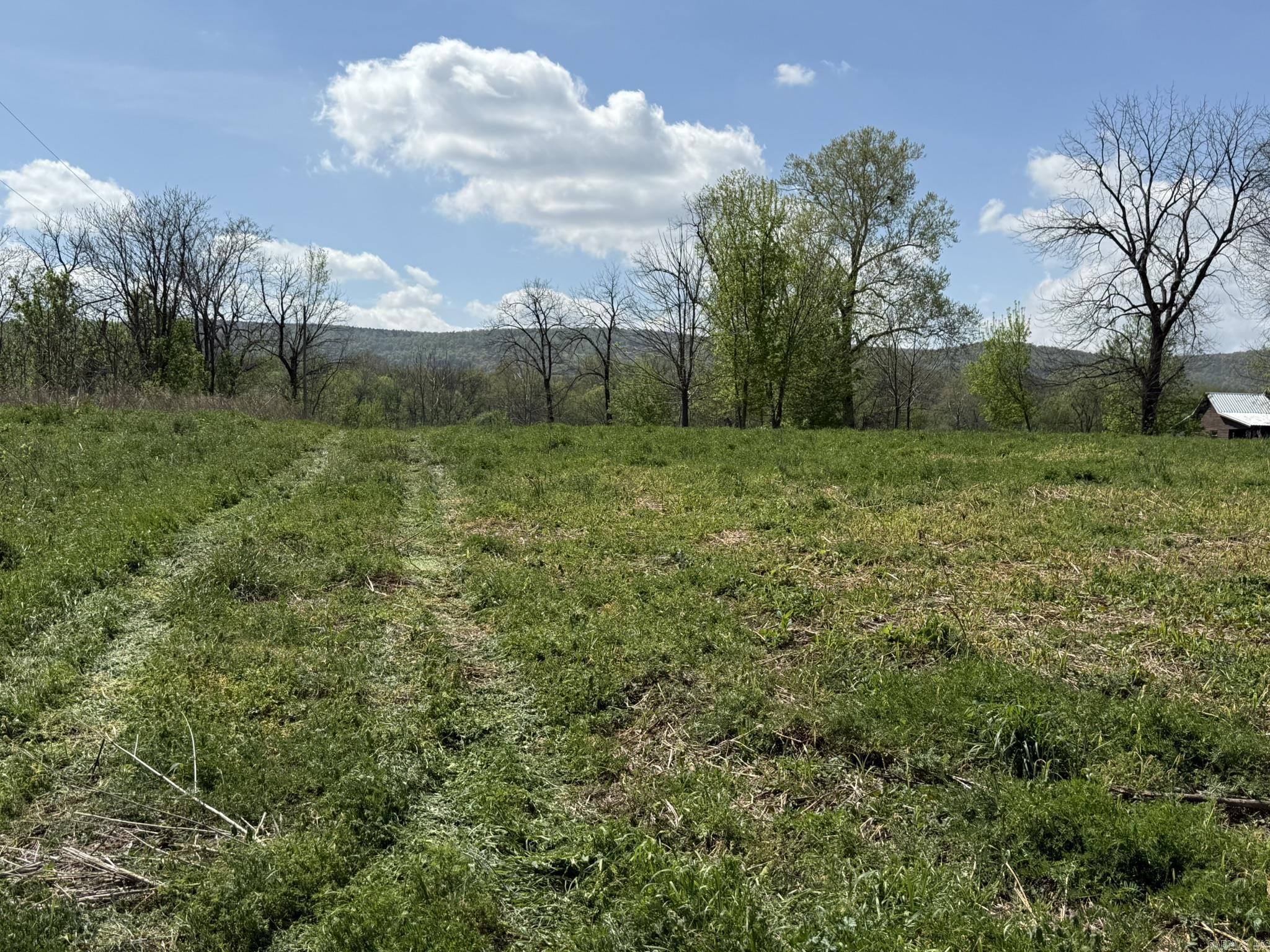 Photo 34 - Vacant Land for sale – 000  Kate   Batesville, AR