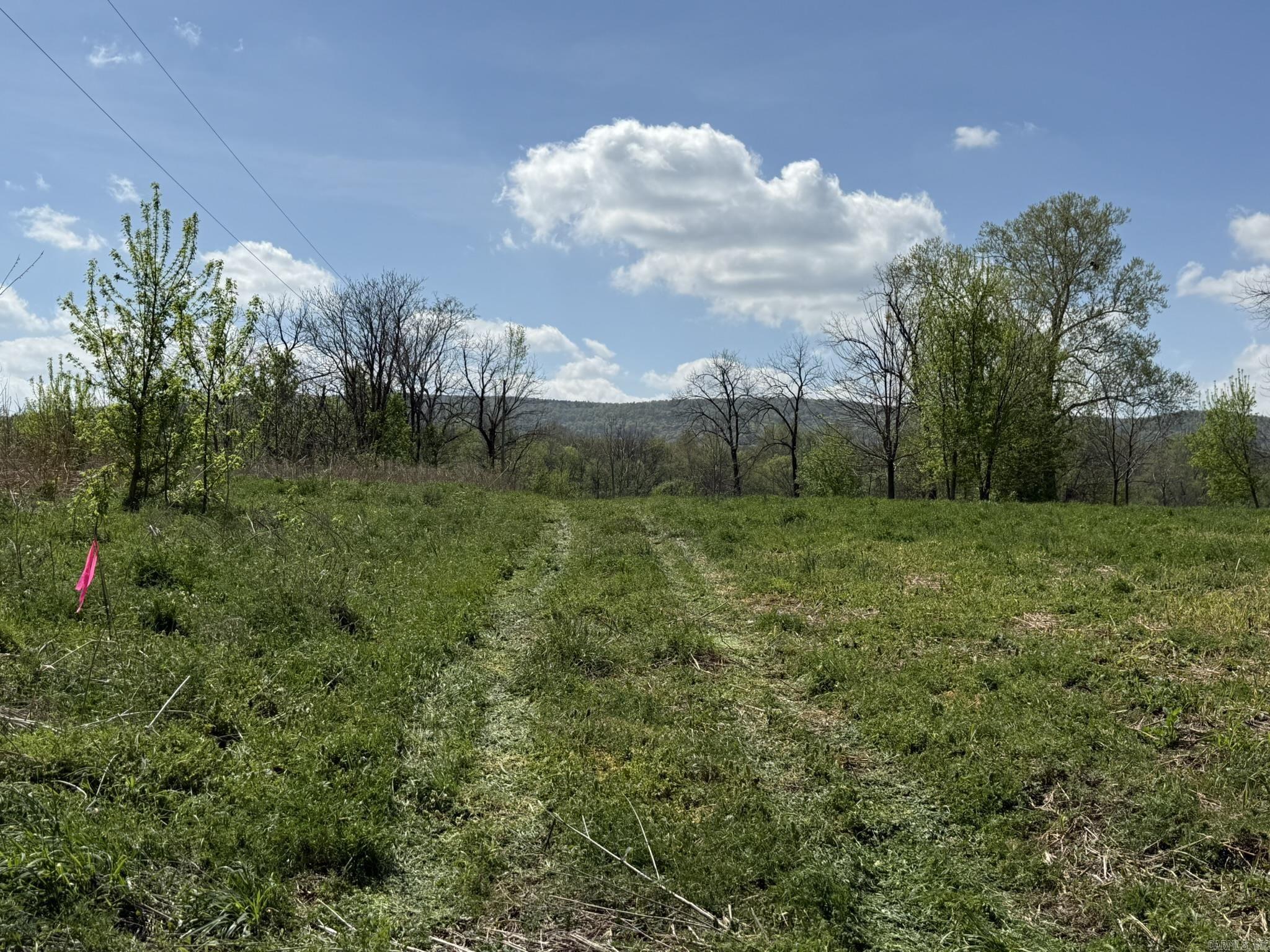 Photo 35 - Vacant Land for sale – 000  Kate   Batesville, AR