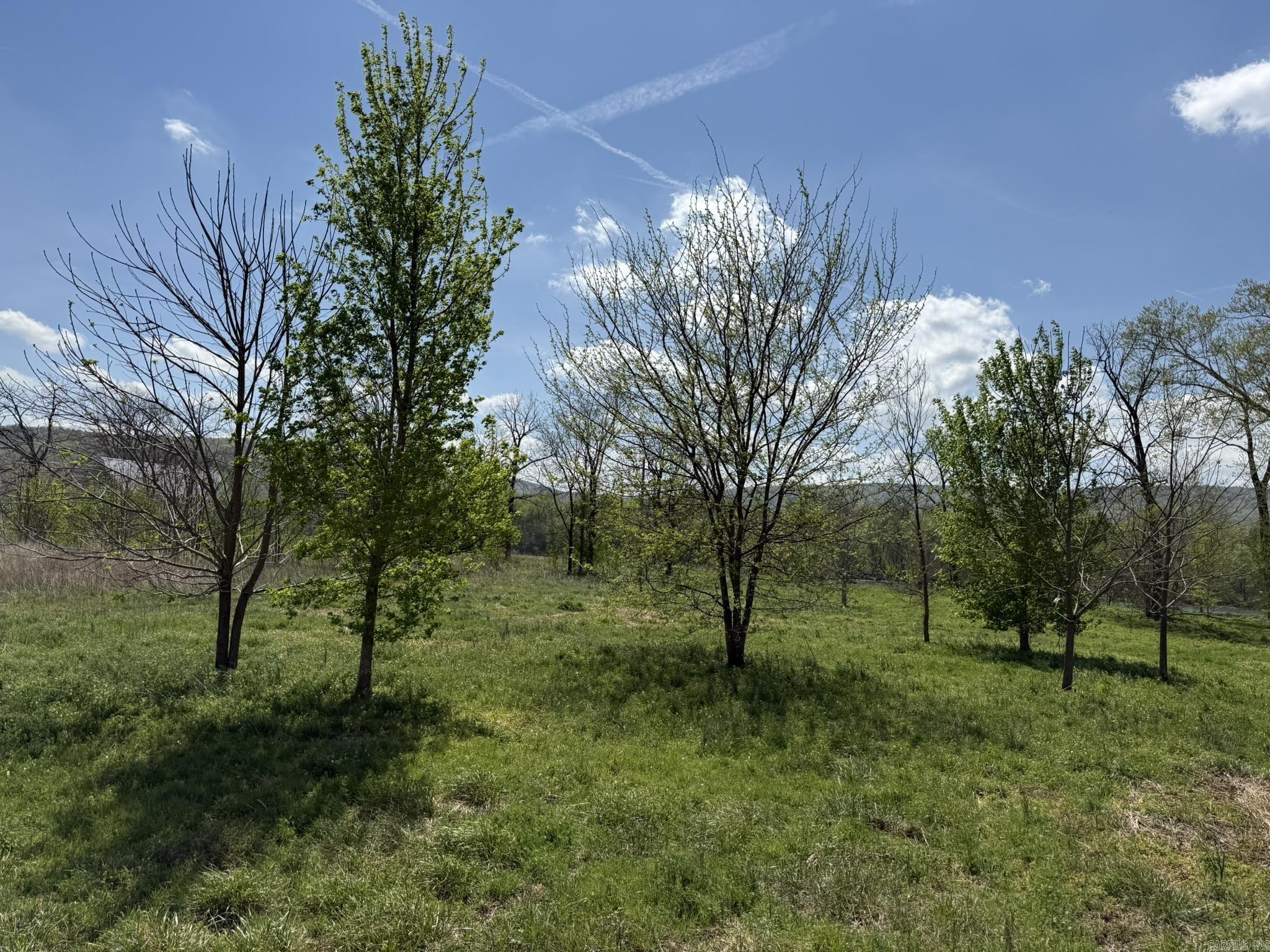 Photo 5 - Vacant Land for sale – 000  Kate   Batesville, AR