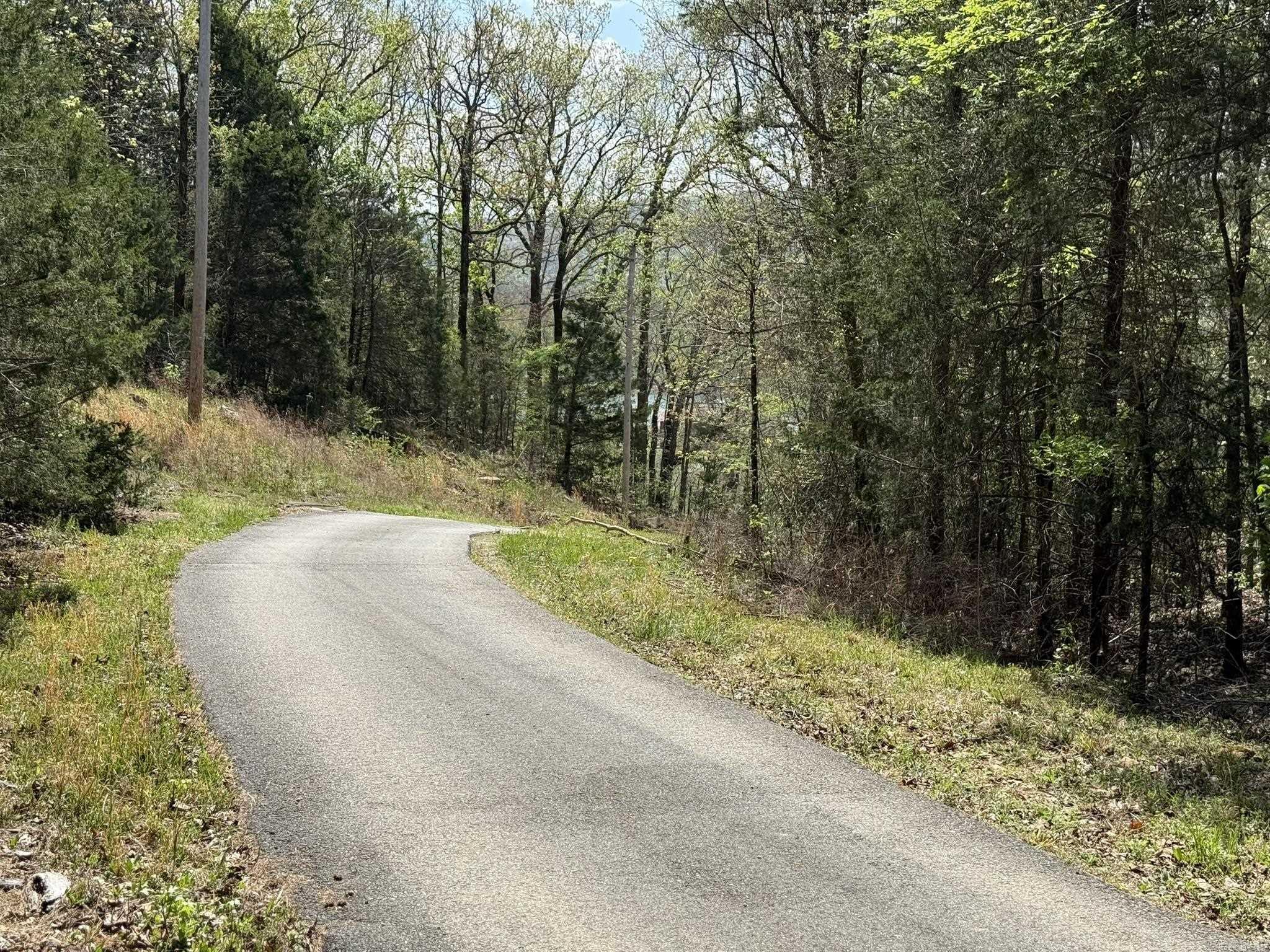 Photo 7 - Vacant Land for sale – 000  Kate   Batesville, AR