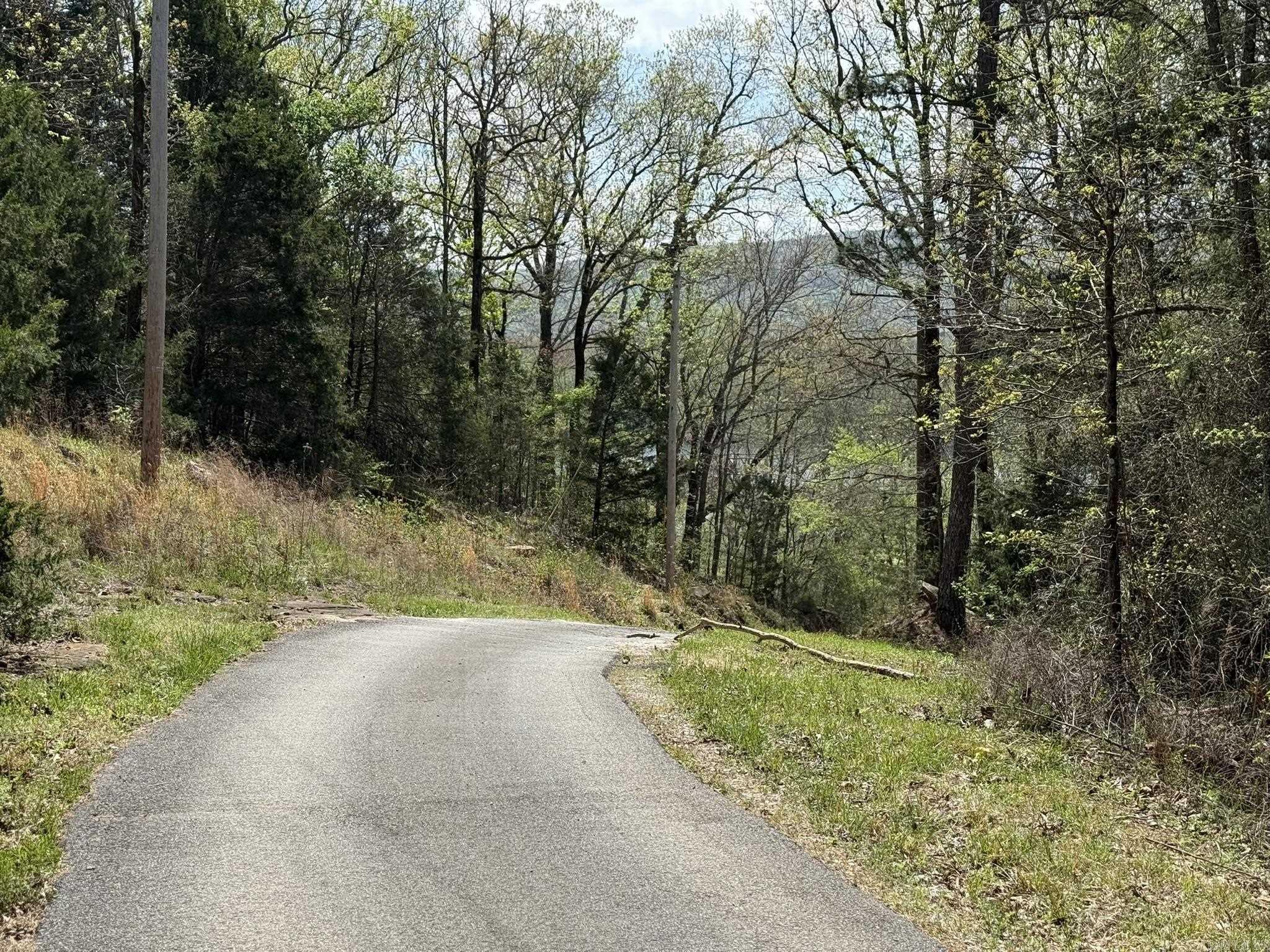 Photo 8 - Vacant Land for sale – 000  Kate   Batesville, AR