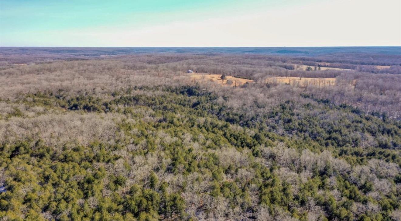 Photo 2 - Vacant Land for sale – TBD Lot 21  Fawn Ridge   Williford, AR