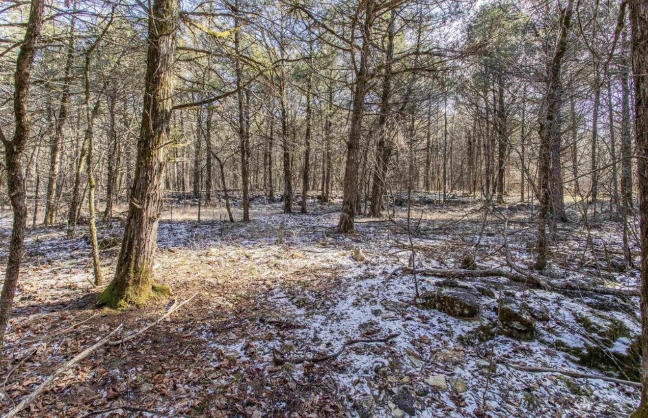 Photo 3 - Vacant Land for sale – TBD Lot 21  Fawn Ridge   Williford, AR