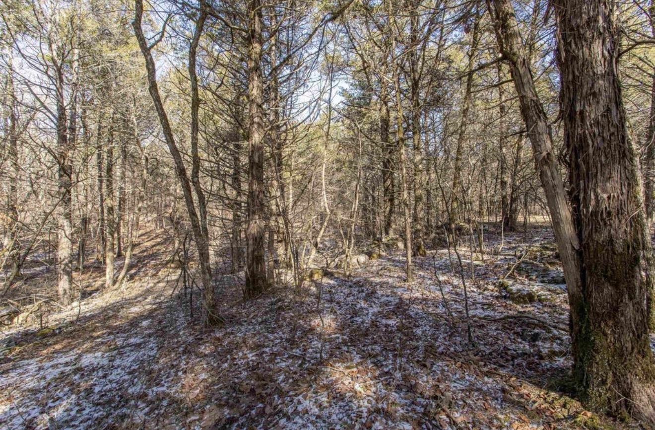 Photo 4 - Vacant Land for sale – TBD Lot 21  Fawn Ridge   Williford, AR