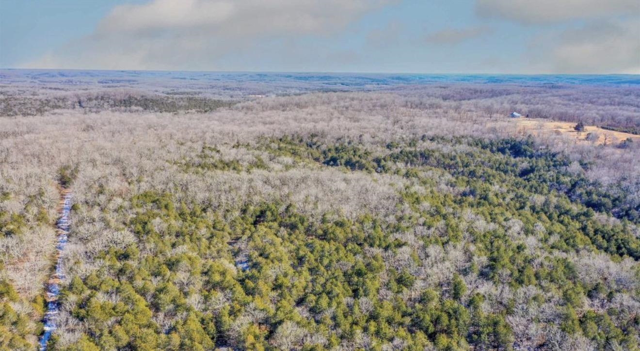 Photo 5 - Vacant Land for sale – TBD Lot 21  Fawn Ridge   Williford, AR