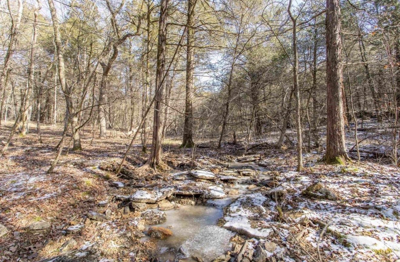 Photo 7 - Vacant Land for sale – TBD Lot 21  Fawn Ridge   Williford, AR